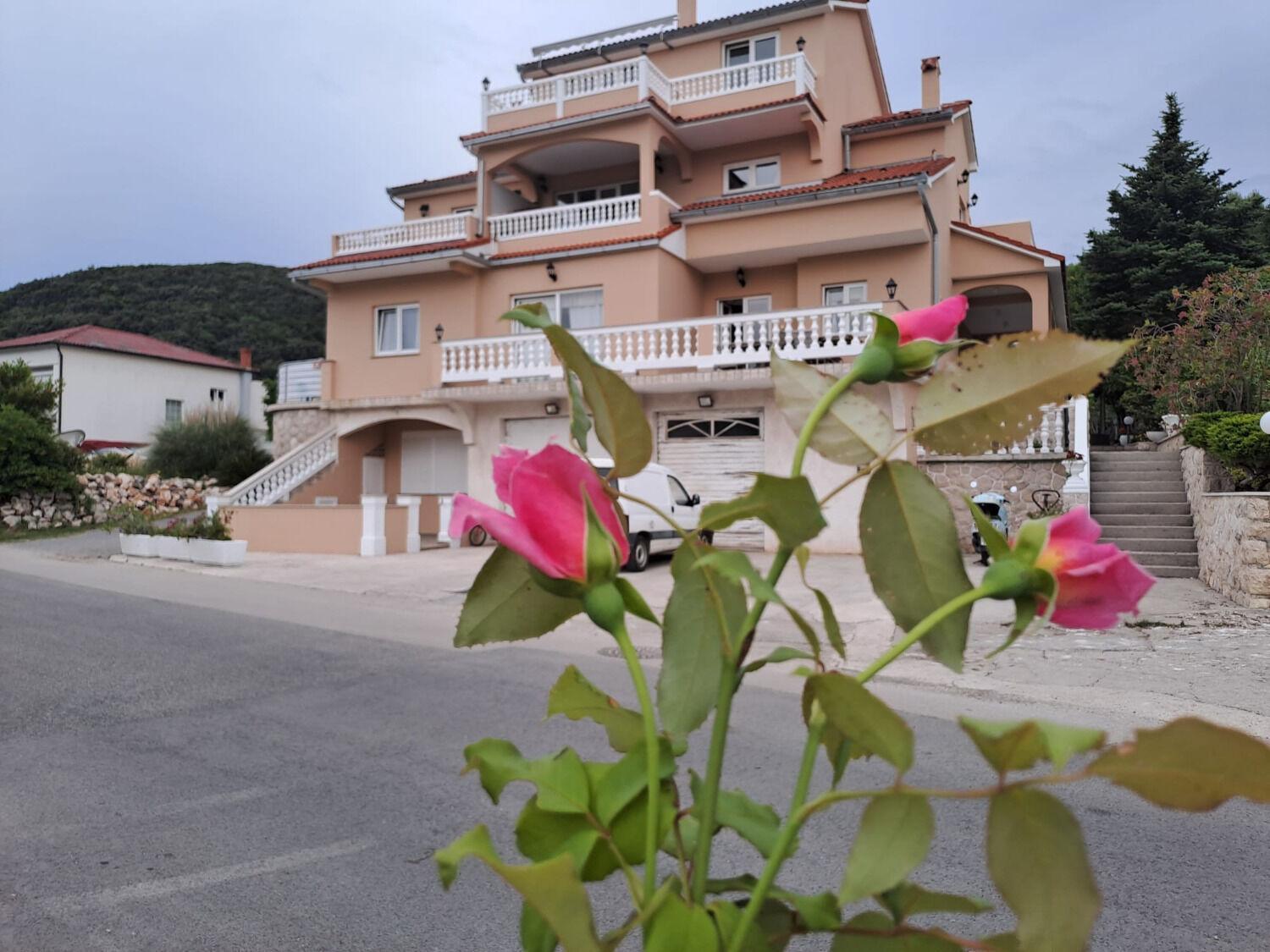 Apartments Mig - With Beautiful Garden Supetarska Draga Esterno foto