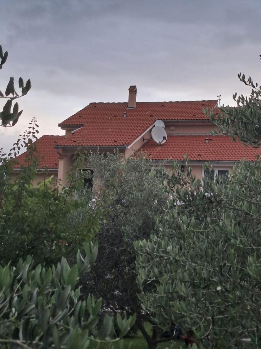 Apartments Mig - With Beautiful Garden Supetarska Draga Esterno foto